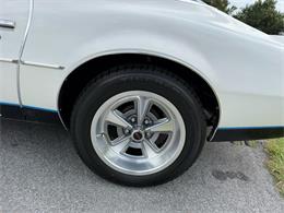 1977 Pontiac Firebird (CC-2070860) for sale in Fort Lauderdale, Florida