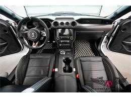 2022 Shelby GT500 (CC-2078625) for sale in Rowley, Massachusetts