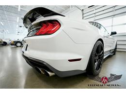 2022 Shelby GT500 (CC-2078625) for sale in Rowley, Massachusetts