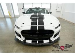 2022 Shelby GT500 (CC-2078625) for sale in Rowley, Massachusetts