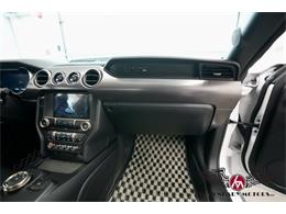2022 Shelby GT500 (CC-2078625) for sale in Rowley, Massachusetts