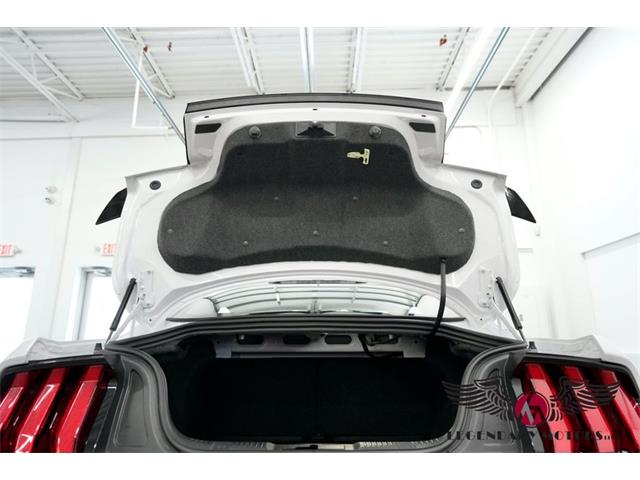 2022 Shelby GT500 (CC-2078625) for sale in Rowley, Massachusetts