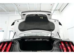 2022 Shelby GT500 (CC-2078625) for sale in Rowley, Massachusetts