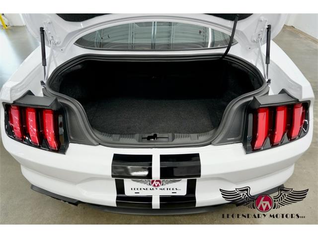 2022 Shelby GT500 (CC-2078625) for sale in Rowley, Massachusetts