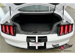 2022 Shelby GT500 (CC-2078625) for sale in Rowley, Massachusetts