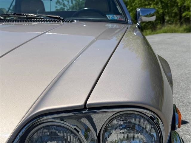 1991 Jaguar XJS (CC-2078635) for sale in Orwigsburg, Pennsylvania