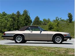 1991 Jaguar XJS (CC-2078635) for sale in Orwigsburg, Pennsylvania