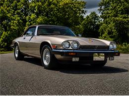 1991 Jaguar XJS (CC-2078635) for sale in Orwigsburg, Pennsylvania
