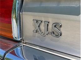1991 Jaguar XJS (CC-2078635) for sale in Orwigsburg, Pennsylvania