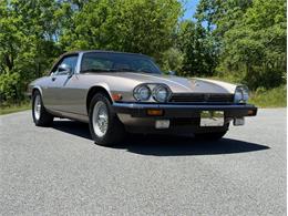 1991 Jaguar XJS (CC-2078635) for sale in Orwigsburg, Pennsylvania