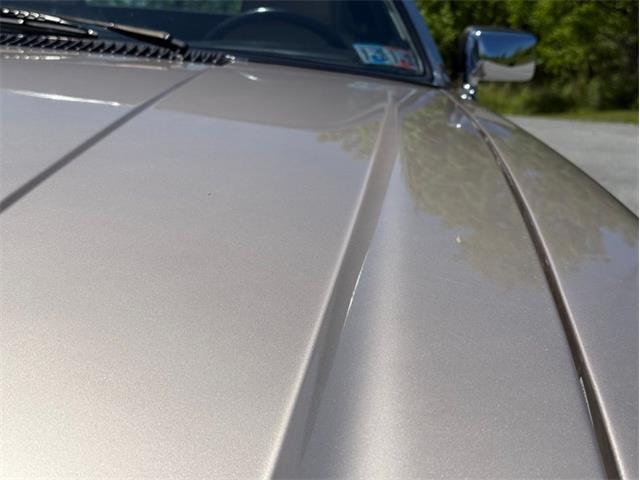 1991 Jaguar XJS (CC-2078635) for sale in Orwigsburg, Pennsylvania