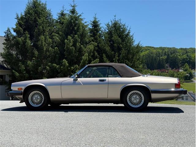 1991 Jaguar XJS (CC-2078635) for sale in Orwigsburg, Pennsylvania