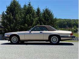 1991 Jaguar XJS (CC-2078635) for sale in Orwigsburg, Pennsylvania