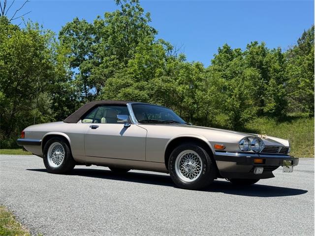 1991 Jaguar XJS (CC-2078635) for sale in Orwigsburg, Pennsylvania