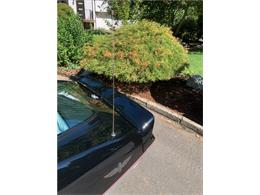 1978 Chevrolet Corvette (Indy 500 Pace Car) (CC-2078680) for sale in VANCOUVER, Washington