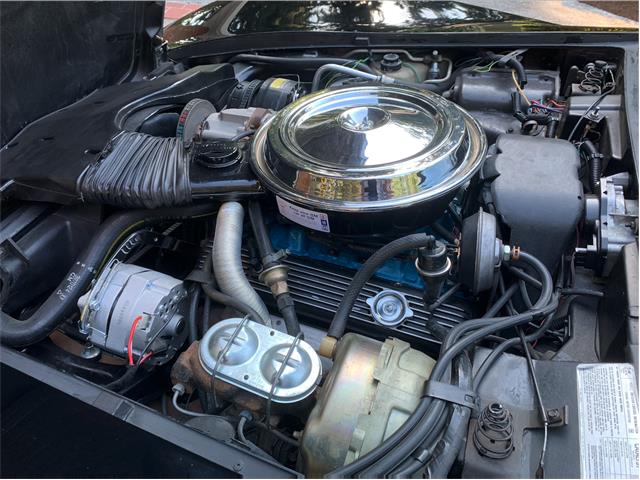 1978 Chevrolet Corvette (Indy 500 Pace Car) (CC-2078680) for sale in VANCOUVER, Washington