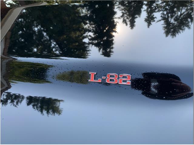 1978 Chevrolet Corvette (Indy 500 Pace Car) (CC-2078680) for sale in VANCOUVER, Washington