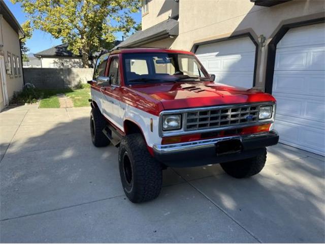 1987 Ford Bronco (CC-2078761) for sale in Cadillac, Michigan
