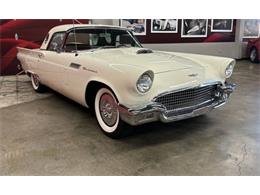 1957 Ford Thunderbird (CC-2078800) for sale in Cadillac, Michigan