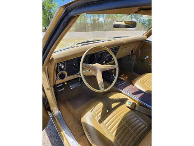 1969 Pontiac Firebird (CC-2078809) for sale in Cadillac, Michigan