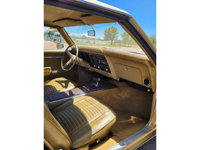 1969 Pontiac Firebird (CC-2078809) for sale in Cadillac, Michigan