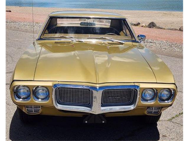 1969 Pontiac Firebird (CC-2078809) for sale in Cadillac, Michigan