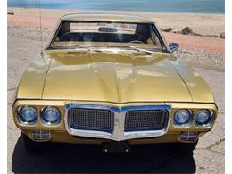 1969 Pontiac Firebird (CC-2078809) for sale in Cadillac, Michigan