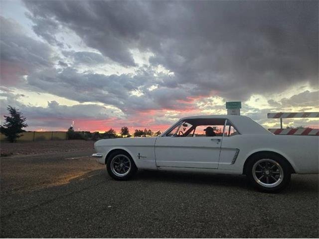 1964 Ford Mustang (CC-2078810) for sale in Cadillac, Michigan
