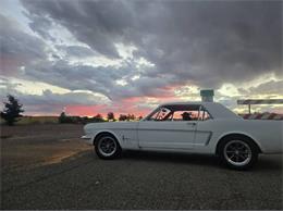 1964 Ford Mustang (CC-2078810) for sale in Cadillac, Michigan