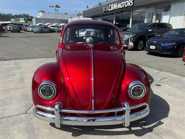 1967 Volkswagen Beetle (CC-2078834) for sale in El Cajon, California