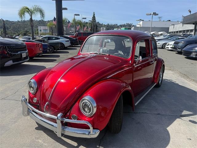 1967 Volkswagen Beetle (CC-2078834) for sale in El Cajon, California