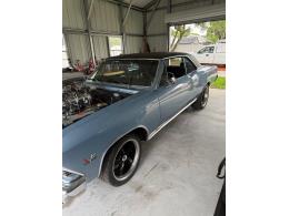 1966 Chevrolet Chevelle (CC-2078886) for sale in NEW PORT RICHEY, Florida