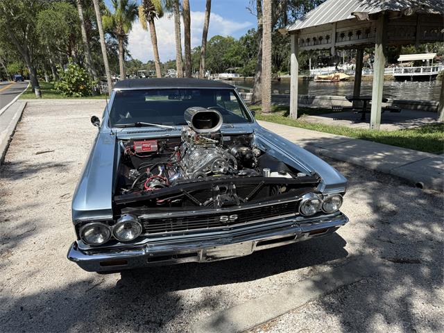 1966 Chevrolet Chevelle (CC-2078886) for sale in NEW PORT RICHEY, Florida