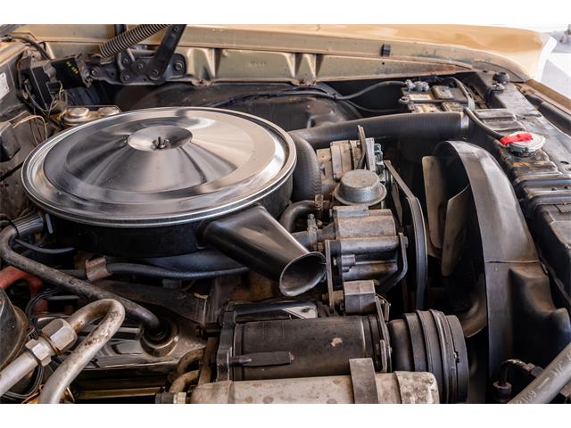1967 Pontiac GTO (CC-2078889) for sale in SCOTTSDALE, Arizona