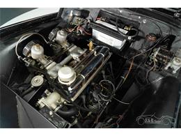 1961 Triumph TR3A (CC-2078902) for sale in Waalwijk, Noord Brabant