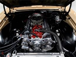 1967 Chevrolet Camaro (CC-2078938) for sale in Sun Valley, California