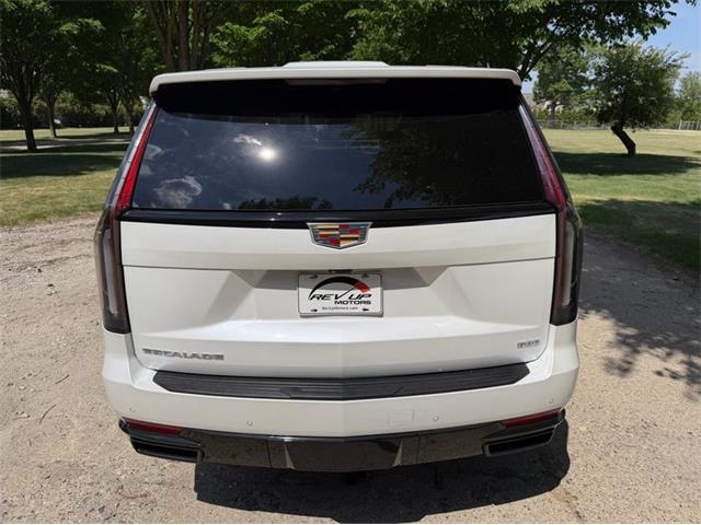 2024 Cadillac Escalade (CC-2078950) for sale in Shelby Township, Michigan