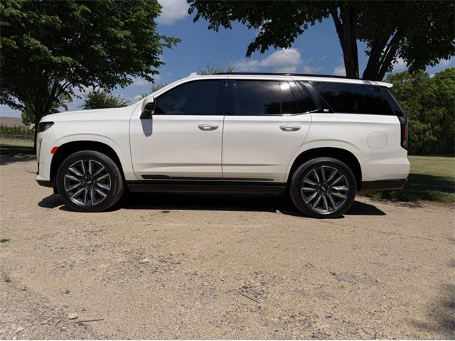 2024 Cadillac Escalade (CC-2078950) for sale in Shelby Township, Michigan