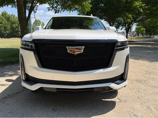 2024 Cadillac Escalade (CC-2078950) for sale in Shelby Township, Michigan