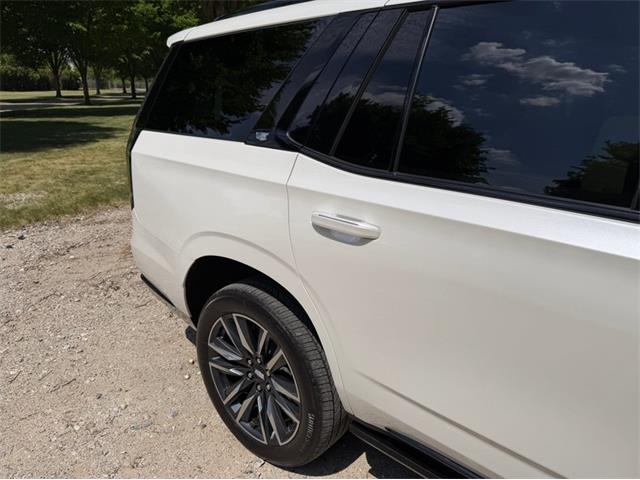 2024 Cadillac Escalade (CC-2078950) for sale in Shelby Township, Michigan