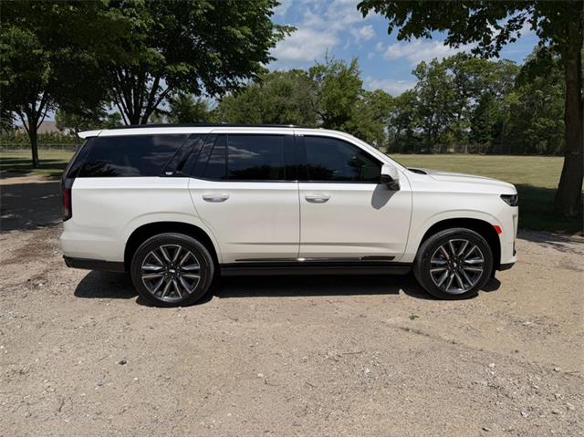 2024 Cadillac Escalade (CC-2078950) for sale in Shelby Township, Michigan