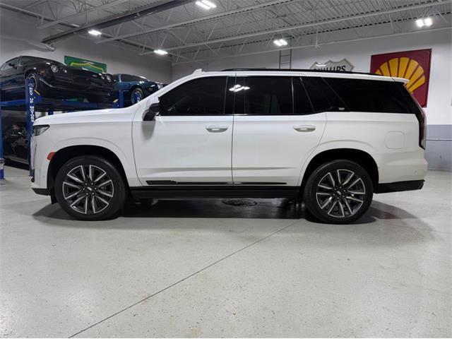 2024 Cadillac Escalade (CC-2078950) for sale in Shelby Township, Michigan