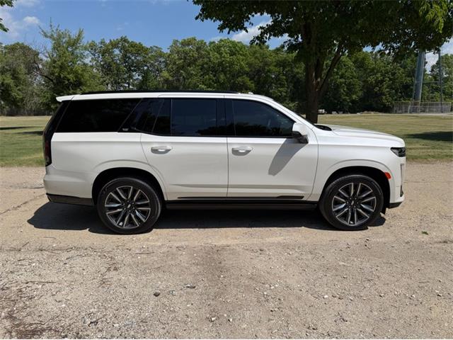 2024 Cadillac Escalade (CC-2078950) for sale in Shelby Township, Michigan