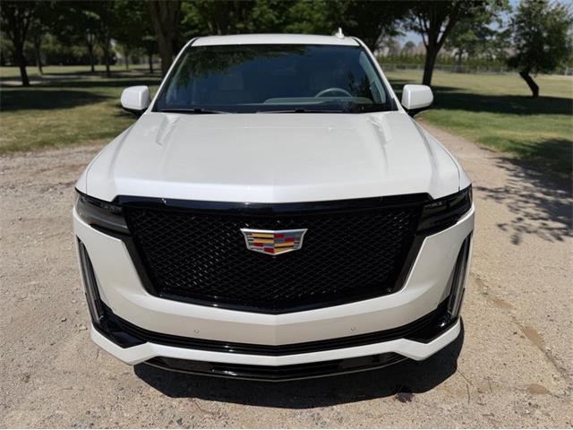 2024 Cadillac Escalade (CC-2078950) for sale in Shelby Township, Michigan