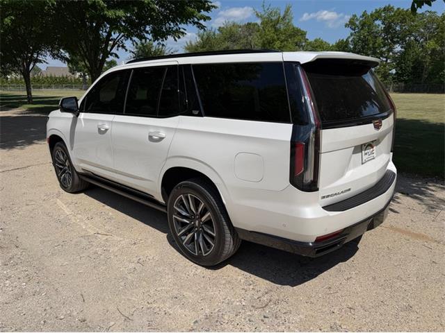 2024 Cadillac Escalade (CC-2078950) for sale in Shelby Township, Michigan