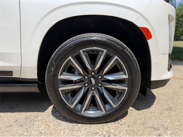 2024 Cadillac Escalade (CC-2078950) for sale in Shelby Township, Michigan