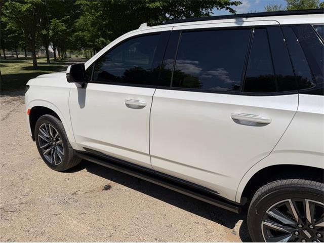 2024 Cadillac Escalade (CC-2078950) for sale in Shelby Township, Michigan