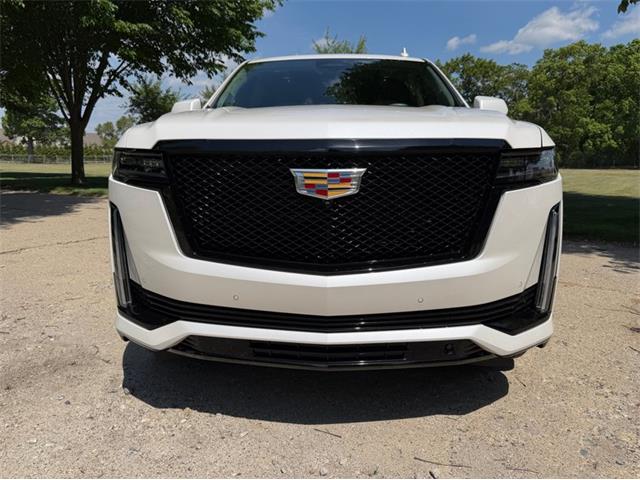2024 Cadillac Escalade (CC-2078950) for sale in Shelby Township, Michigan