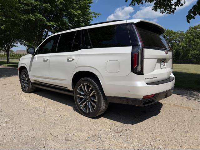 2024 Cadillac Escalade (CC-2078950) for sale in Shelby Township, Michigan