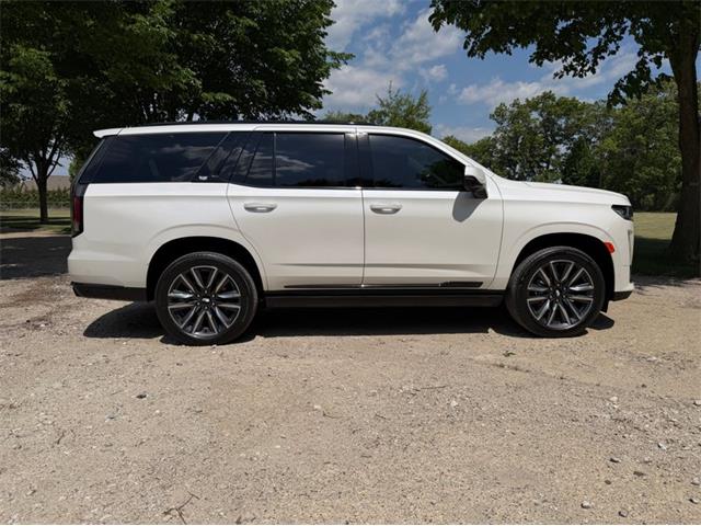 2024 Cadillac Escalade (CC-2078950) for sale in Shelby Township, Michigan
